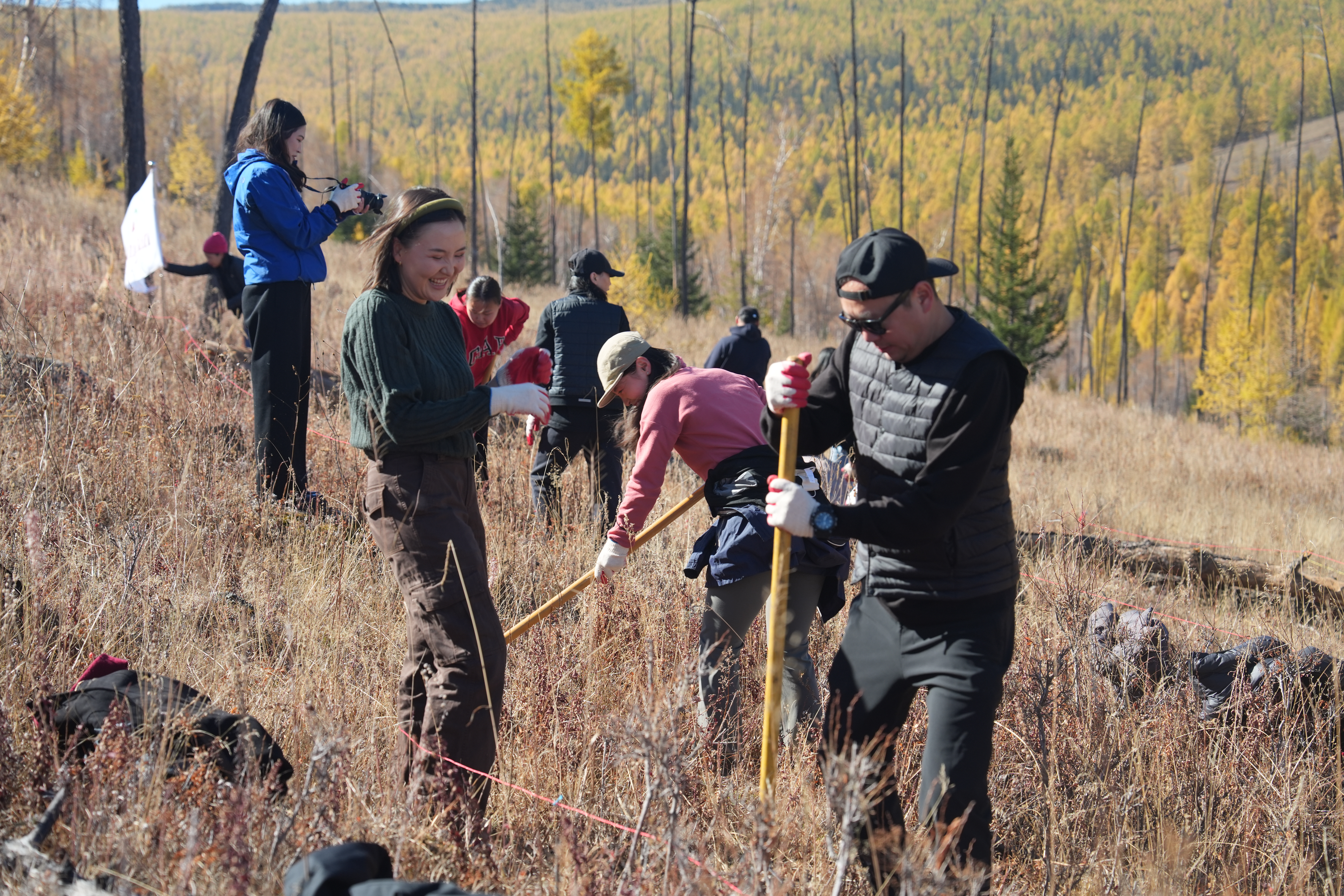Volunteers working together in the forest